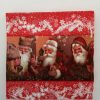Servilletas para Decoupage - 33 X 33cm - 70